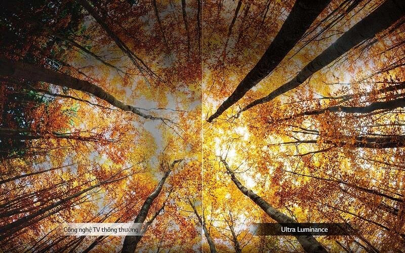 Smart Tivi LG 65 inch 65UK6540PTD, 4K Active HDR, ThinQ AI