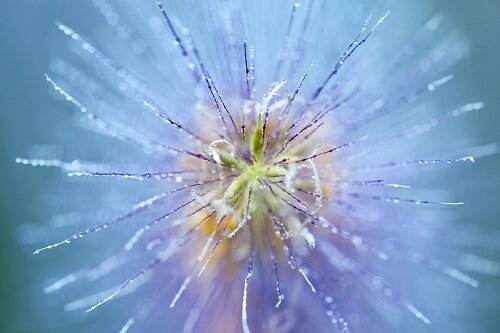 Ống Kính Tamron SP 90mm F/2.8 DI MACRO 1:1 VC USD