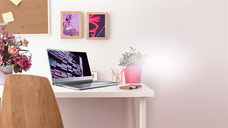 Laptop Acer Swift SF315-52-50T9 (NX.GZBSV.002) Win10