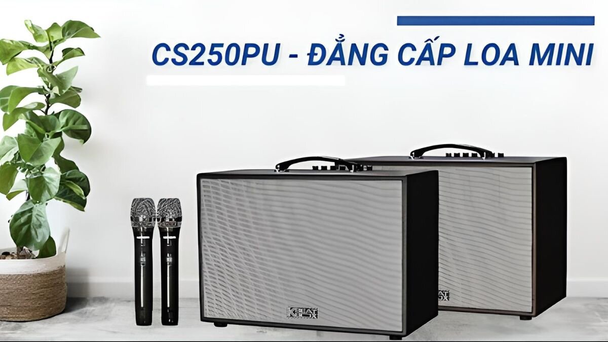 Loa Karaoke mini xách tay ACNOS CS250PU Đen