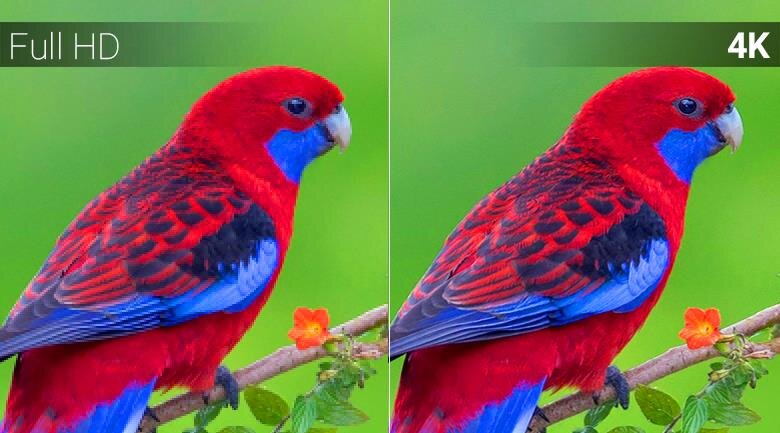 QLED Tivi TCL 65X4 2018, 65 inch, 4K HDR, Smart TV, Android N7.0