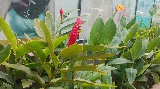 Điện thoại Lenovo A5000