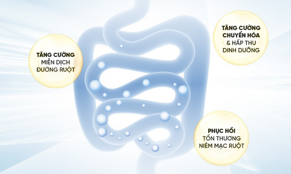 Máy Giặt ELECTROLUX 8 KG EWF8025BQWA