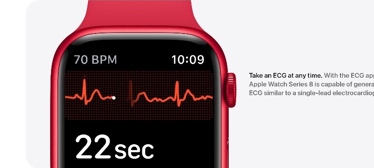 Đồng hồ thông minh Apple Watch Series 8 45mm 4G viền thép dây cao su