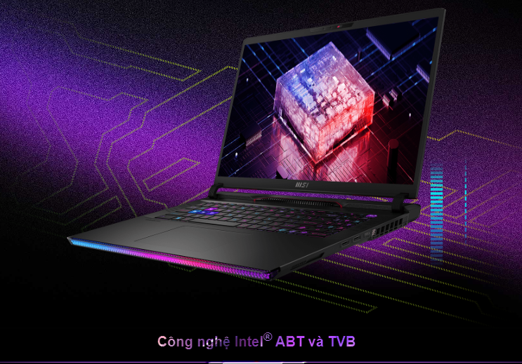 Laptop MSI Gaming GE78 HX Raider (13VH -076VN)