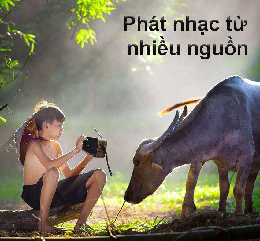 Loa-Bluetooth-SoundmaxAS-6