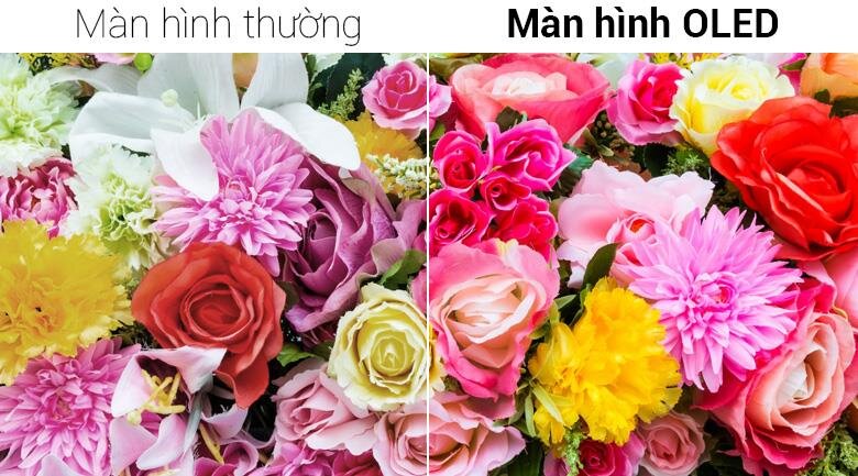 Smart Tivi OLED LG 77W8PTA 77 inch 4K, TV dán tường