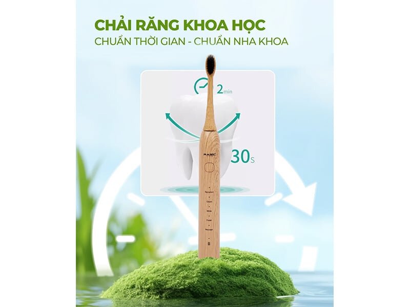 Bàn chải điện Magic B-24