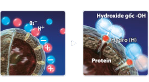 Máy lọc không khí Sharp IG-A20E-W
