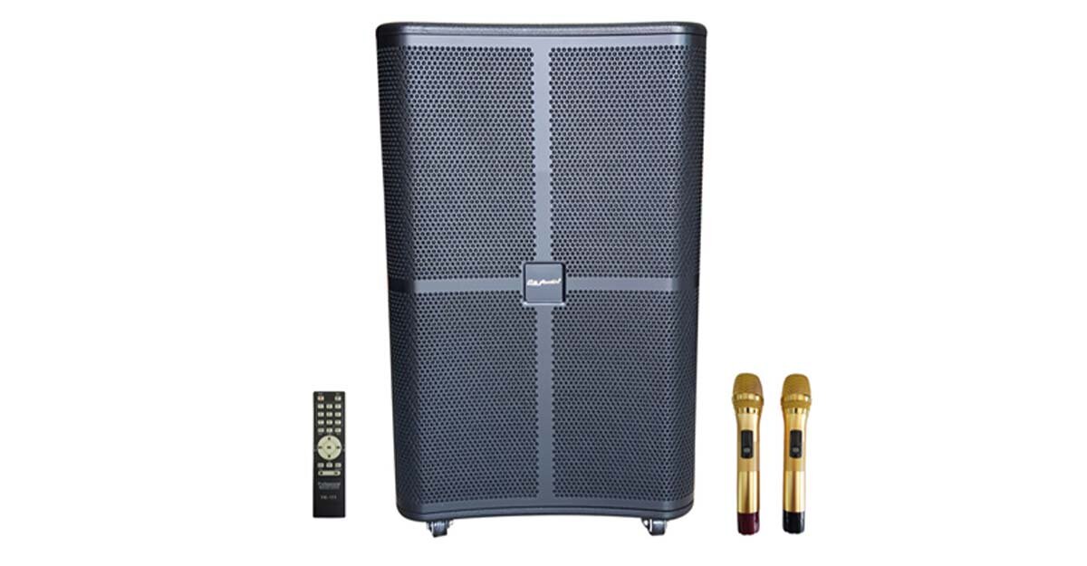 Loa kéo BN Audio BA 800V