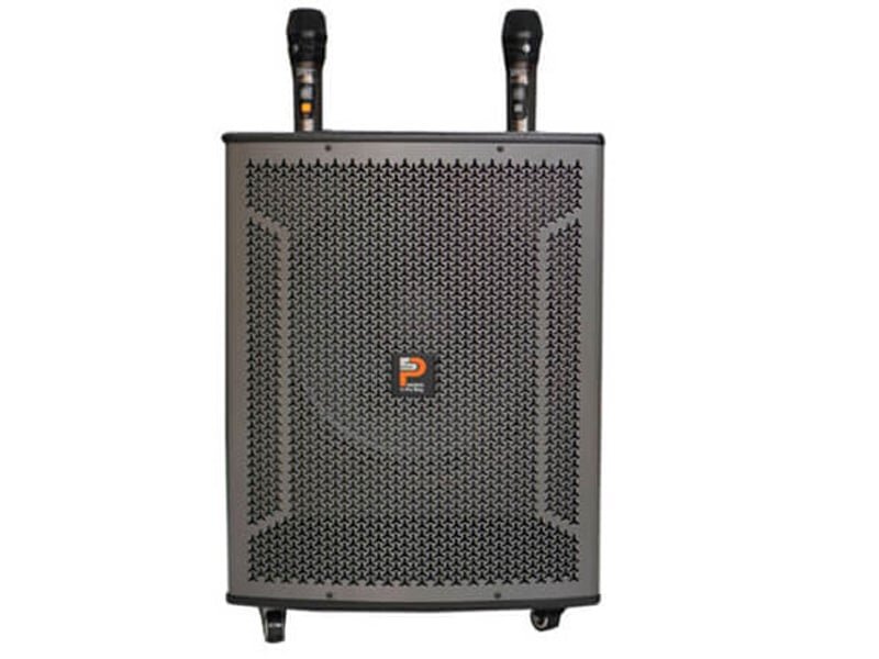 Thiết bị trang bị 2 mic không dây cho bạn thoải mãn niềm yêu thích âm nhạc