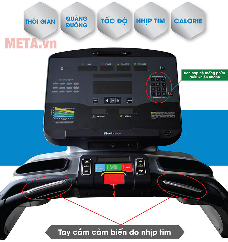 Máy chạy bộ cao cấp Mofit Senior 6900