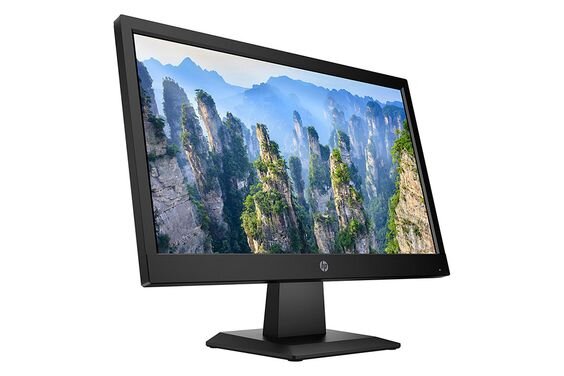 Màn hình HP V19 (Ảnh 4)