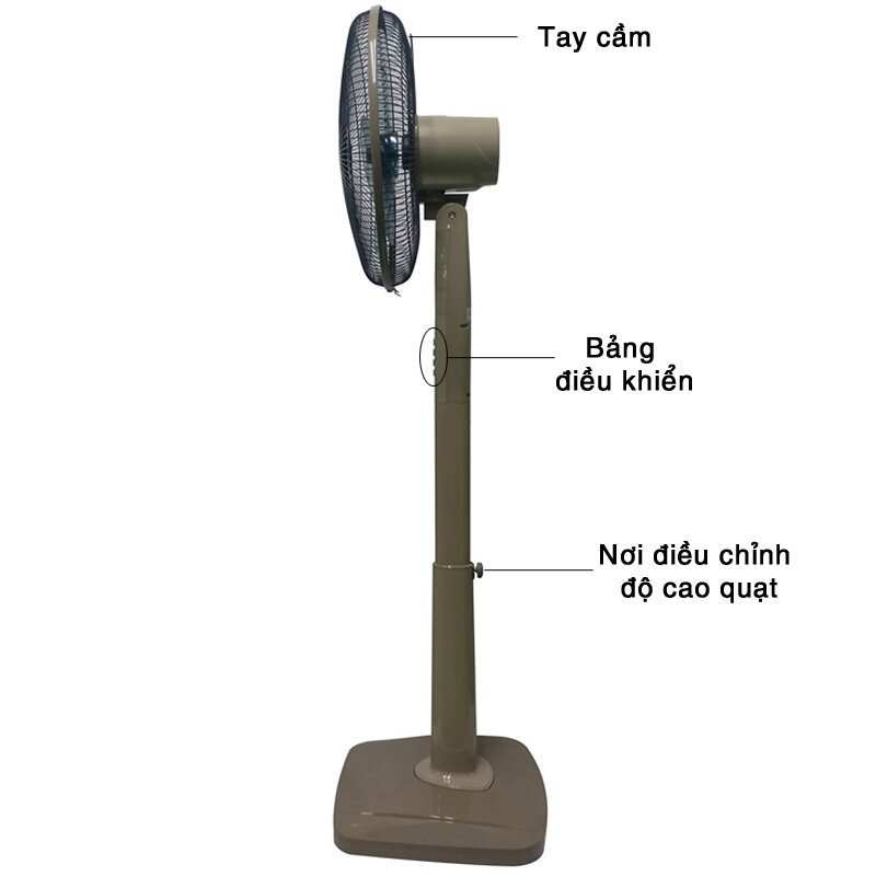 Quạt đứng có điều khiển từ xa Tiross TS9184