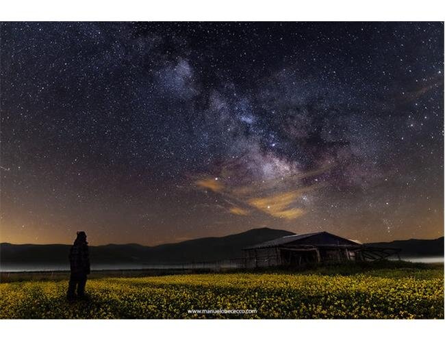 Ống Kính Sigma 24mm F1.4 DG HSM Art for Sony (Hàng Nhập Khẩu)