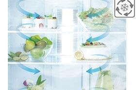 Tủ lạnh LG GN-L502SD APZPEVN 441 Lít Inverter