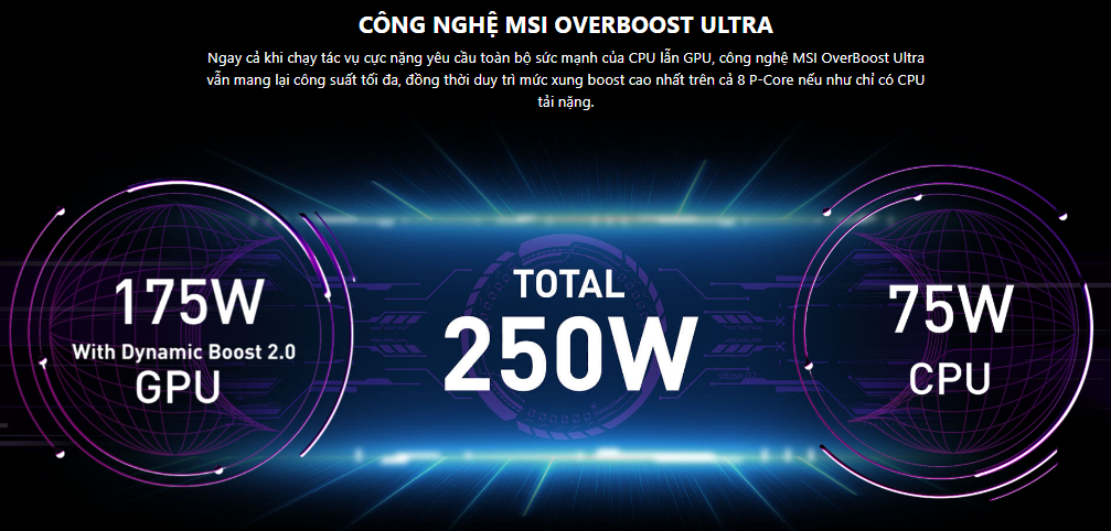 Laptop MSI Gaming GE78 HX Raider (13VH -076VN)