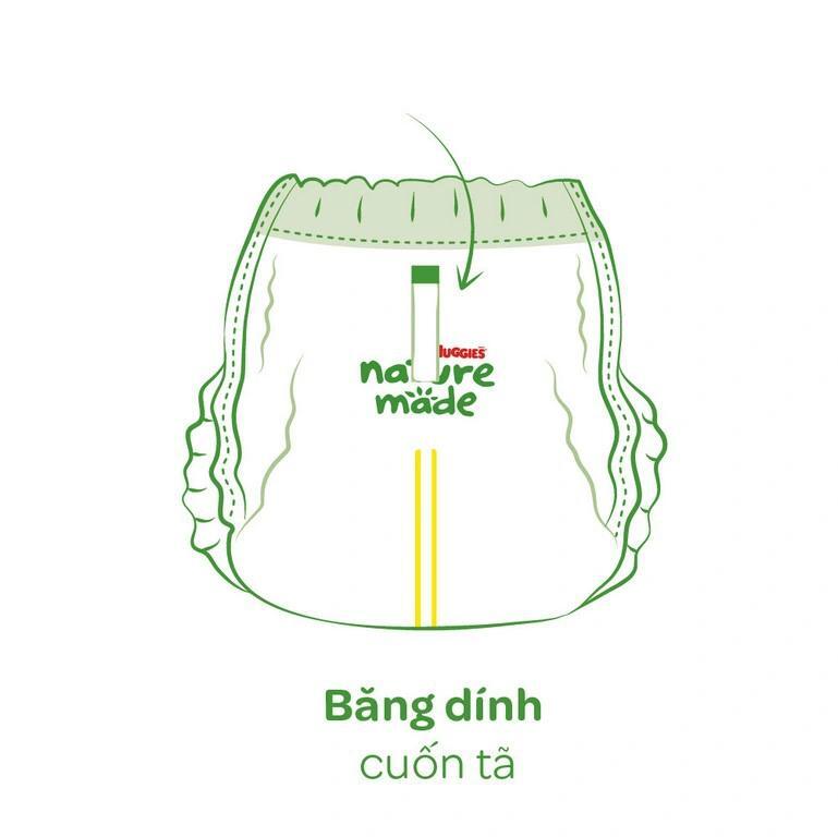 Bang dinh cuon ta