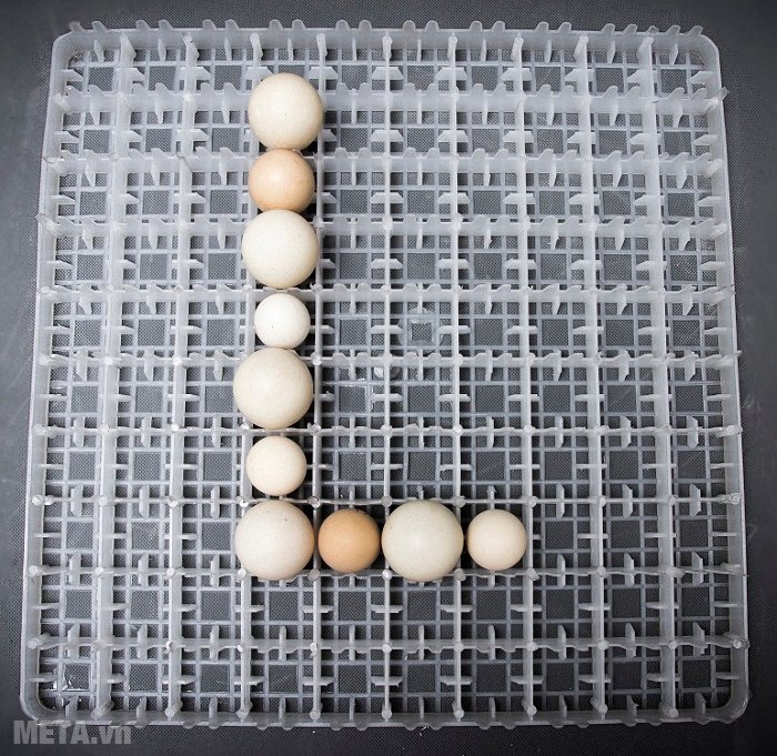 Máy ấp trứng 100 trứng Convection Lic-100