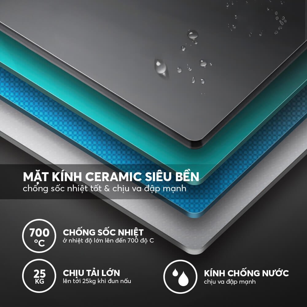 Bếp Elmich ICE 3879