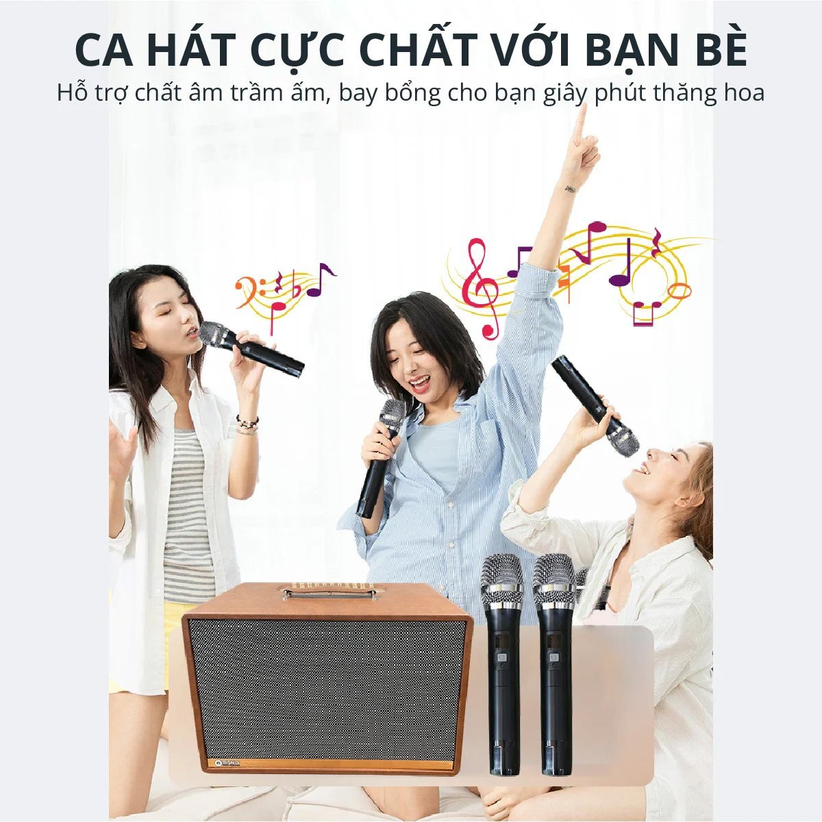 Loa di động kèm 2 micro không dây Loa di động