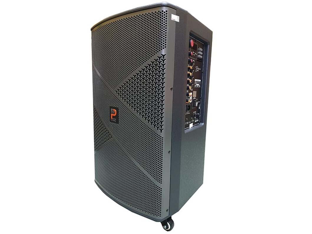 Thùng loa bằng gỗ Loa kéo Prosing