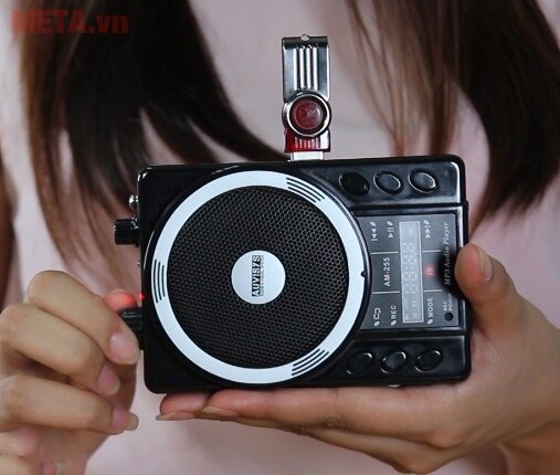 Thiết bị âm thanh trợ giảng Auvisys AM-255