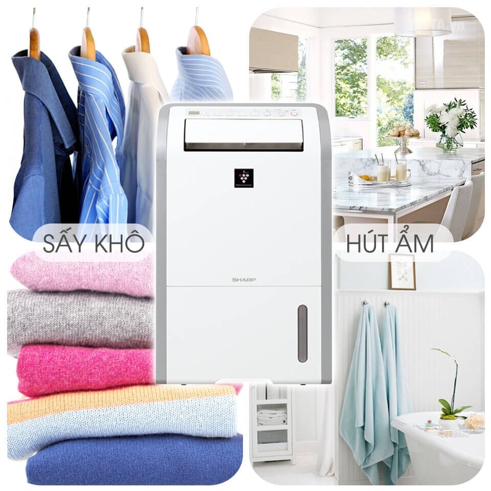 Máy lọc không khí và hút ẩm Sharp DW-D20A-W (50m2)