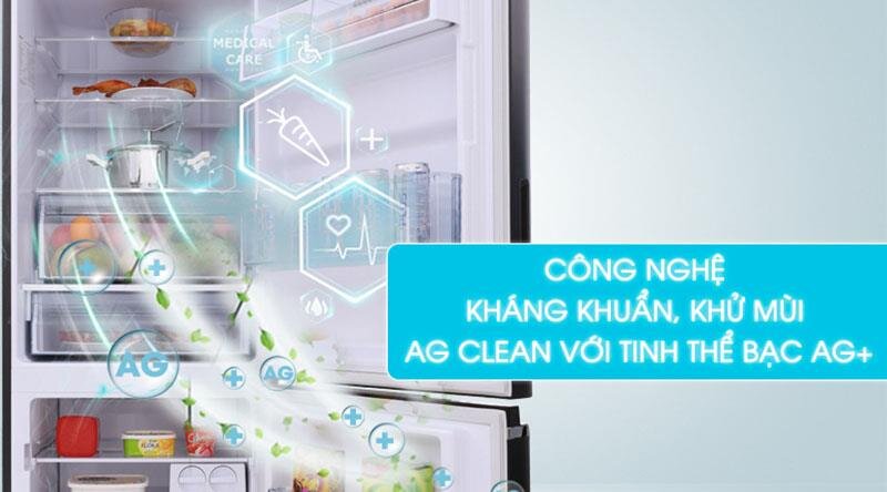 Tủ lạnh Panasonic NR-BV328GKV2 - 290Lít Inverter Cấp đông mềm