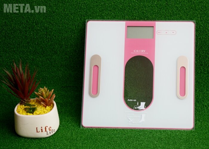 Cân sức khỏe và kiểm tra độ béo Camry EF971-S36