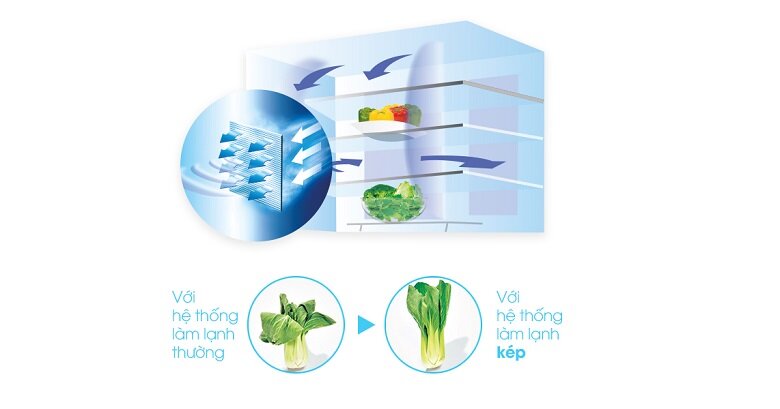 Tủ lạnh Sharp 626 lít SJ-FB74V Tủ lạnh Sharp 626 lít SJ-FB74V