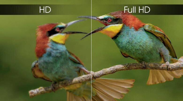 Smart Tivi Sony 43 inch 43W800G Full HD HDR, Android TV