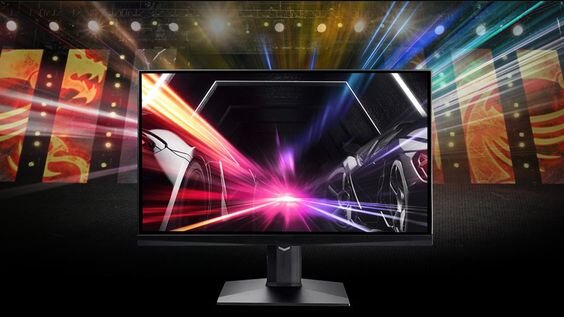 MSI Optix MAG251RX (Ảnh 1)