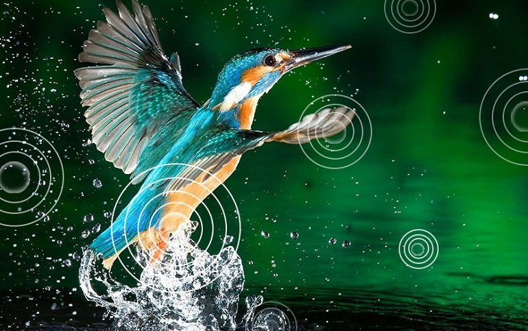 Smart Tivi Casper 32 inch 32HGA510 4 Smart Tivi Casper 32 inch 32HGA510 âm thanh