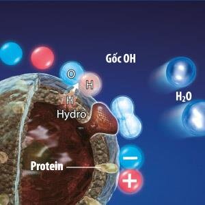 Máy lọc không khí Sharp IG-A20E-W