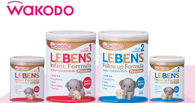 Sữa bột Wakodo Lebens 1 - hộp 850g (dành cho trẻ từ 0-12 tháng tuổi)