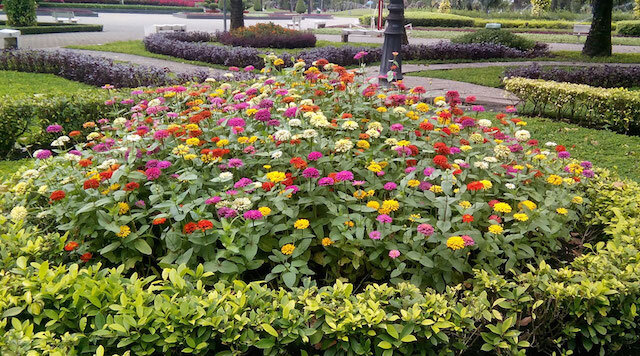 Điện thoại Philips S398