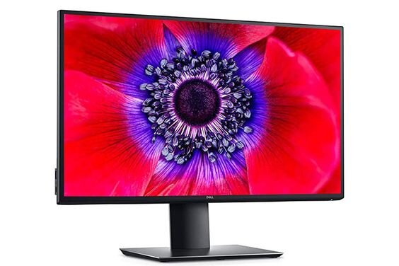 Màn hình Dell U2520D (Ảnh 2)