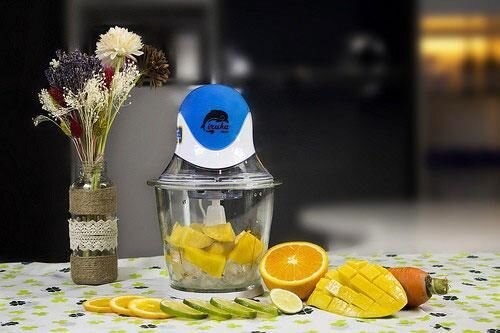 Máy xay thực phẩm Iruka I-09