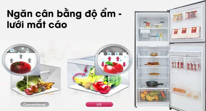 Tủ lạnh LG GN-D422BL - 422 Lít Linear Inverter