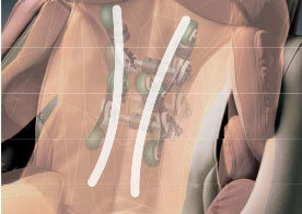 Ghế massage toàn thân Inada Dreamwave HCP-11001D