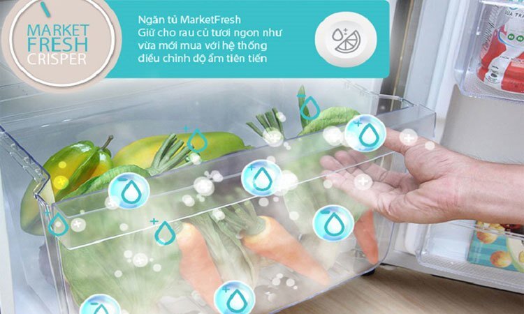 Tủ lạnh  SBS 492L Electrolux ESE5301AG