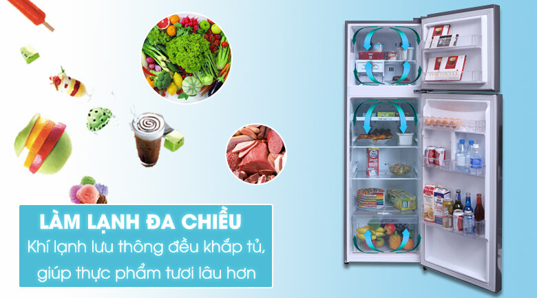 Tủ lạnh LG Inverter 255 lít GN-L255PS