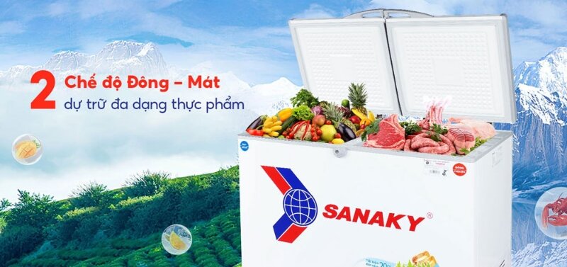 Tủ đông Sanaky 2 ngăn 280 lít VH2899W1