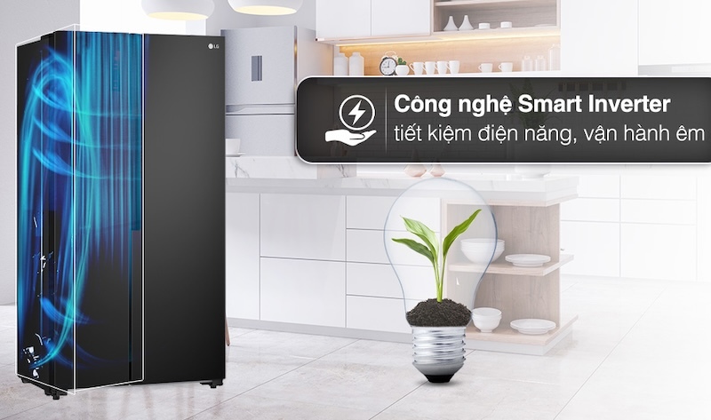 Tiện ích sử dụng khi dùng Tủ lạnh LG Inverter 519 lít GR-B256BL
