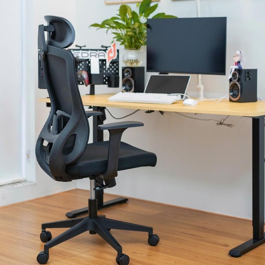 Ghế công thái học EDRA EEC222