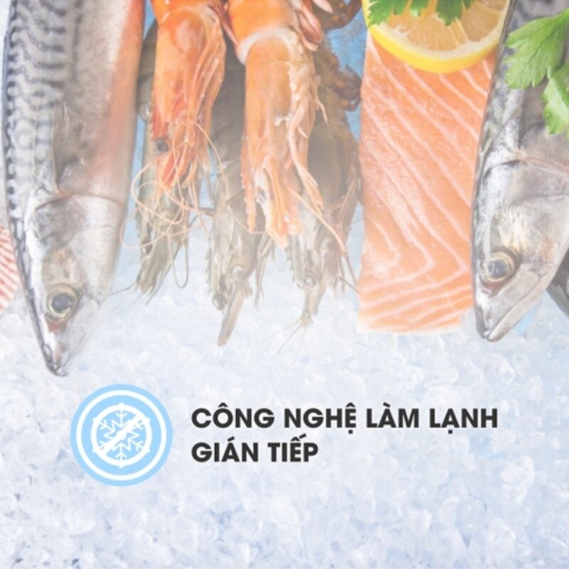 Tủ đông Sanaky 1 ngăn 590 lít VH-768K