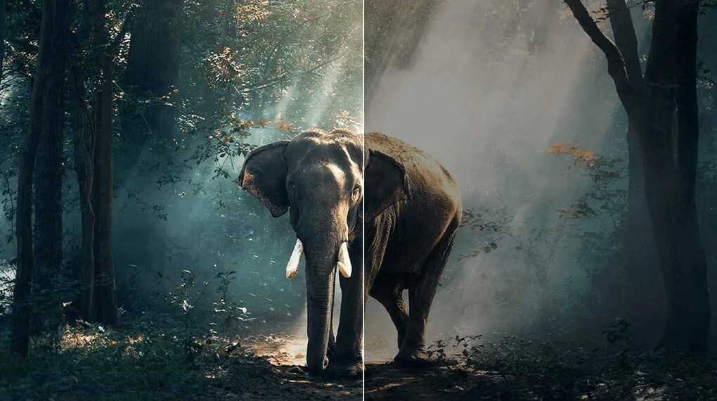 Google Tivi QLED TCL 4K 65 inch 65C69B - Ai-Contrast Google Tivi QLED TCL 4K 65 inch 65C69B - Ai-Contrast