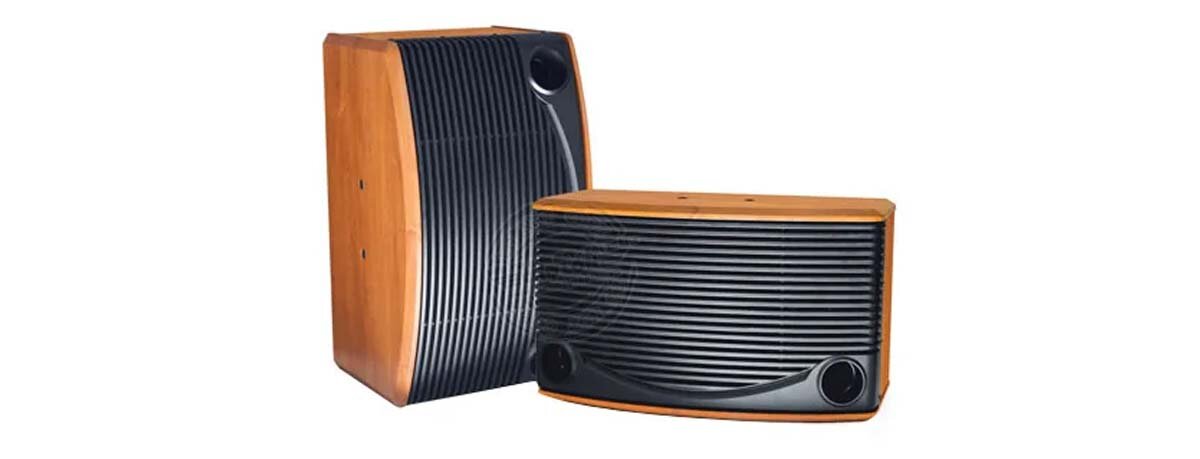 Loa bộ Torimy RT-809