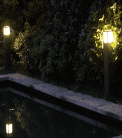 den_sv_ngl8434-247x278